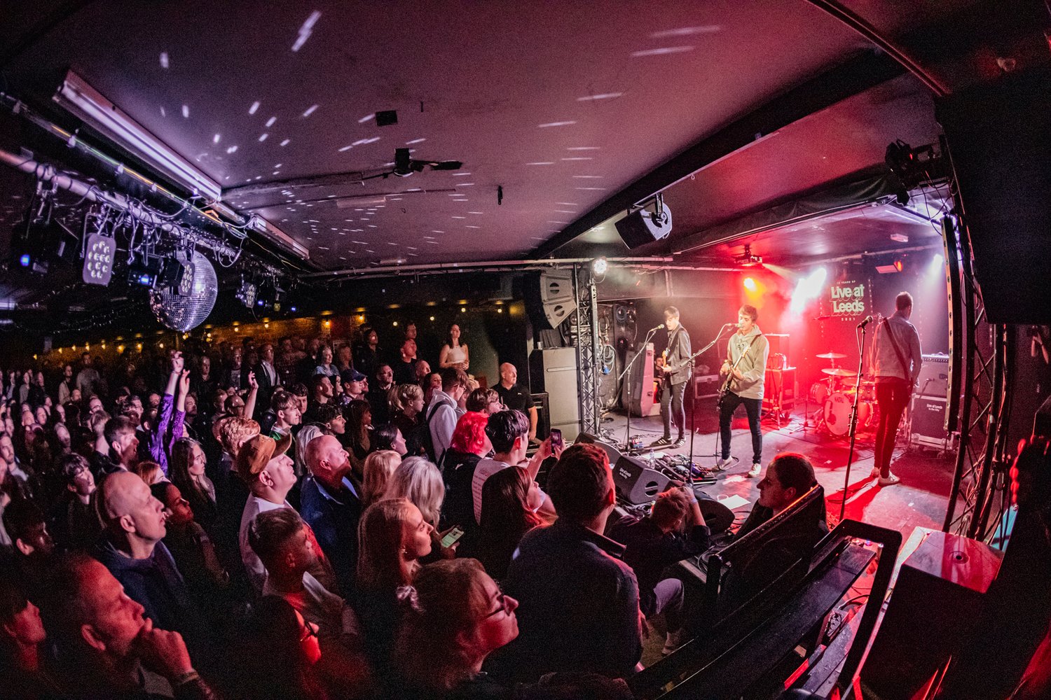 Seed Talks The Science of Magic Mushrooms The Wardrobe